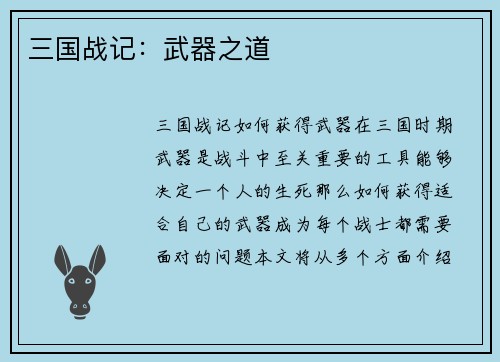 三国战记：武器之道